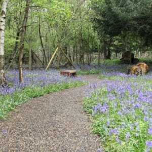 The Oaks woodland showing natural oak memorials and eco aware path
