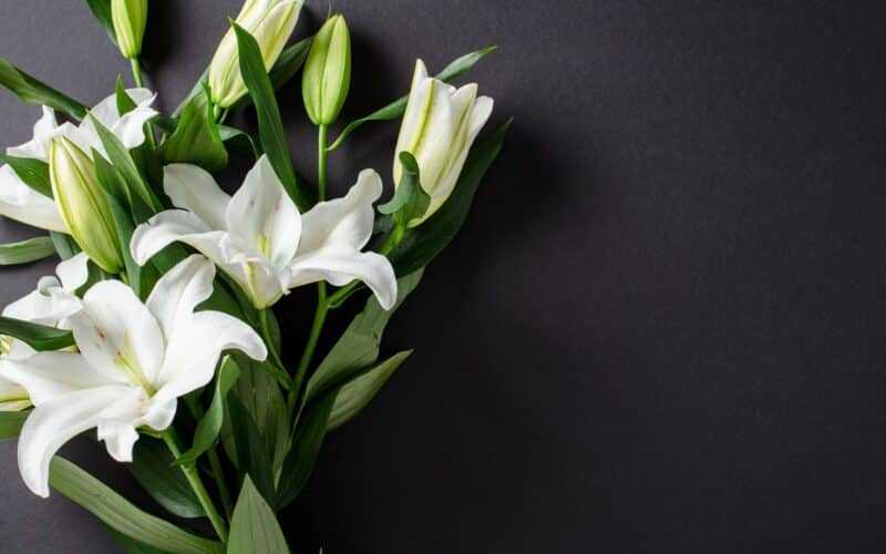 Elegant,Bouquet,Of,White,Lilies,With,Green,Leaves,And,Buds