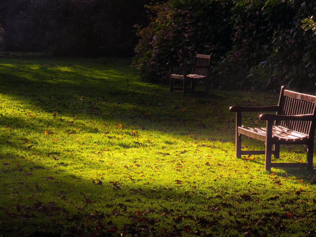 A,Quiet,Spot,For,A,Remembrance,Bench,At,Clyne,Park